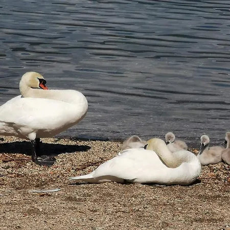La Baia D'acquadolce *