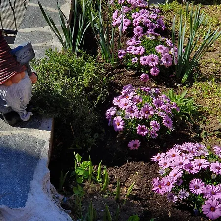 Vakantiehuis La Baia D'acquadolce Bolzano Novarese