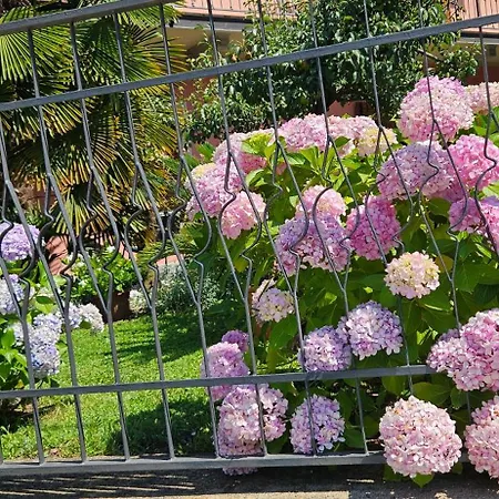 펜션 La Baia D'acquadolce