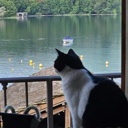 펜션 La Baia D'acquadolce *