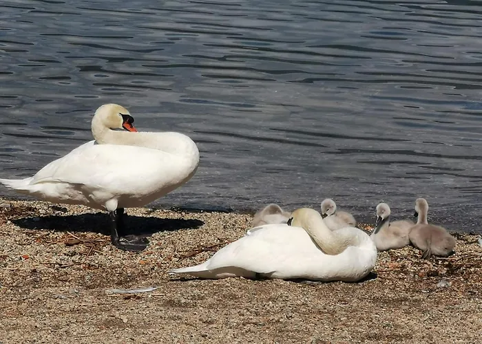 La Baia D'acquadolce *
