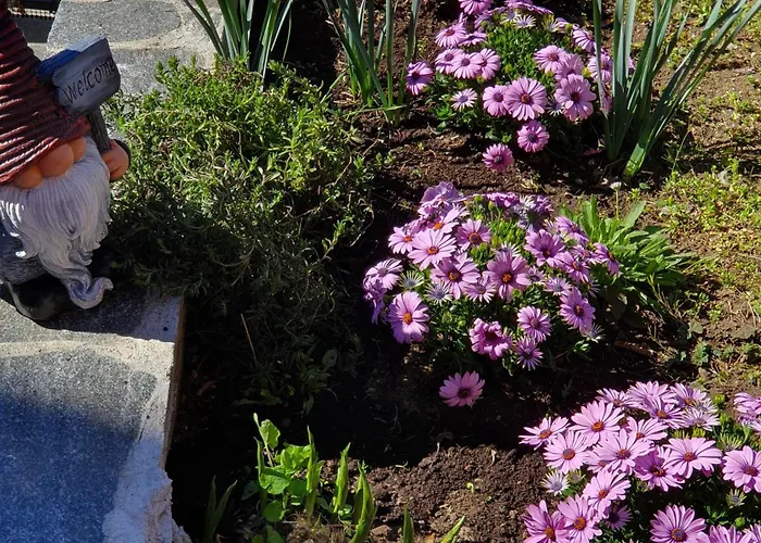 Holiday home La Baia D'acquadolce Bolzano Novarese