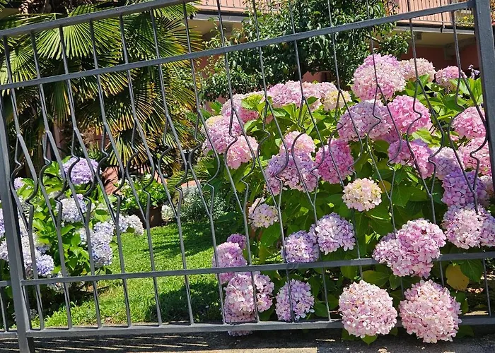 Holiday home La Baia D'acquadolce